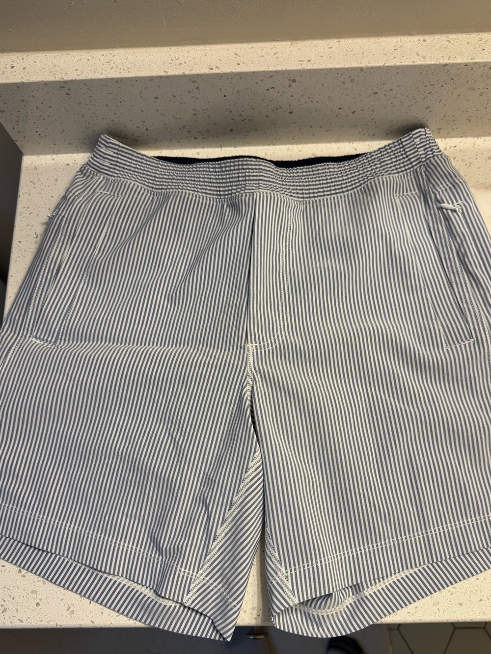 Birddogs Blue and White Pinstripe Shorts